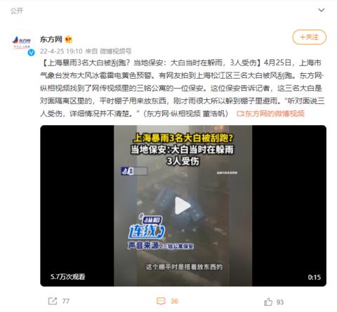 上海暴雨3名大白被刮跑？當(dāng)?shù)乇０玻捍蟀桩?dāng)時(shí)在躲雨，3人受傷